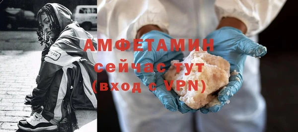 крисы Корсаков