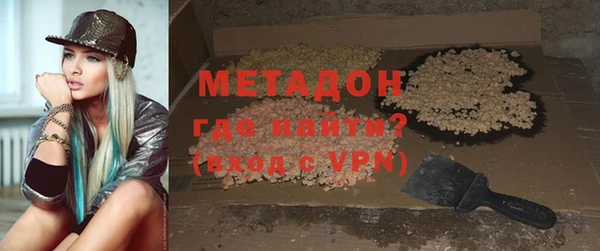 крисы Корсаков