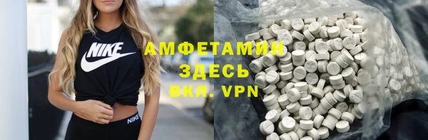 крисы Корсаков