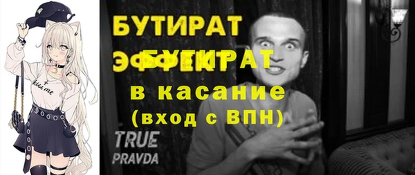 крисы Корсаков