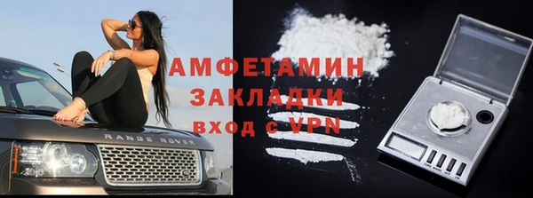 крисы Корсаков