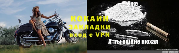 крисы Корсаков