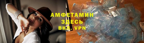 крисы Корсаков