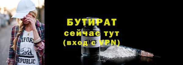 крисы Корсаков
