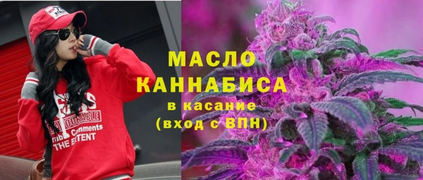 крисы Корсаков