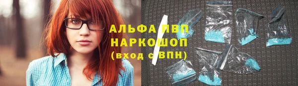 крисы Корсаков