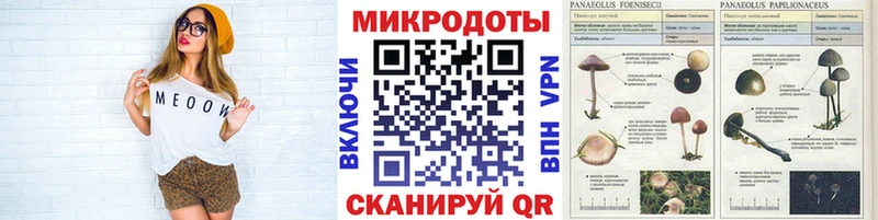 Галлюциногенные грибы прущие грибы  даркнет сайт  ссылка на мегу сайт  Северобайкальск 