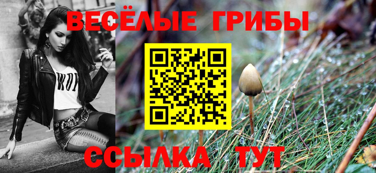 Северобайкальск  цены наркотик  Галлюциногенные грибы Psilocybe  Вход с VPN  Псилоцибиновые грибы Magic Shrooms 