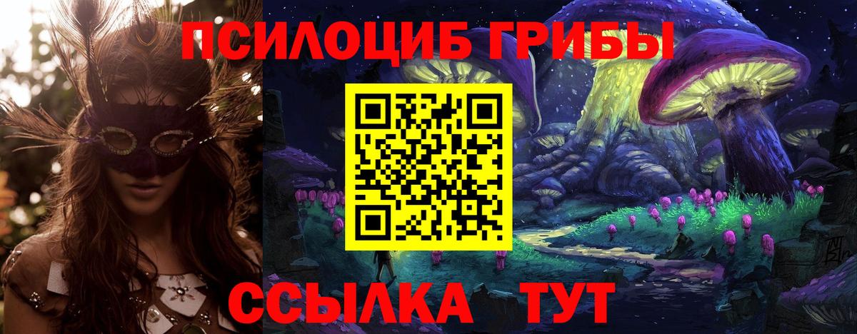 купить наркотики цена  Вход с VPN  Северобайкальск  Псилоцибиновые грибы Psilocybe 