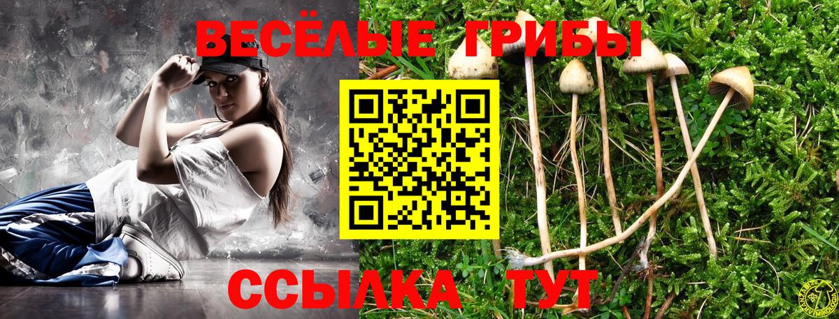 Псилоцибиновые грибы мухоморы Северобайкальск